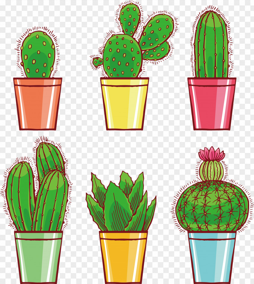 Potted Cactus Cactaceae Drawing Euclidean Vector Illustration PNG