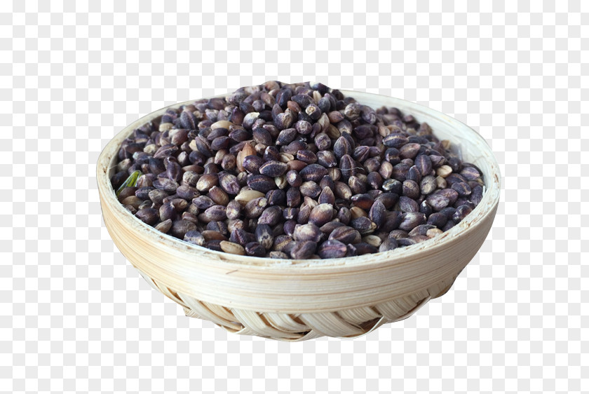 Black Barley Chhaang Wine Highland Cereal PNG