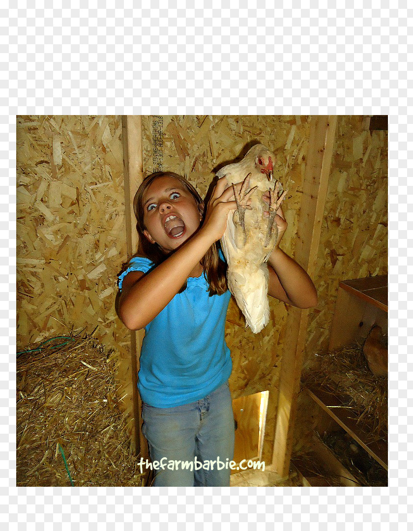 Chicken Coop Farm Fresh For Life Building PNG