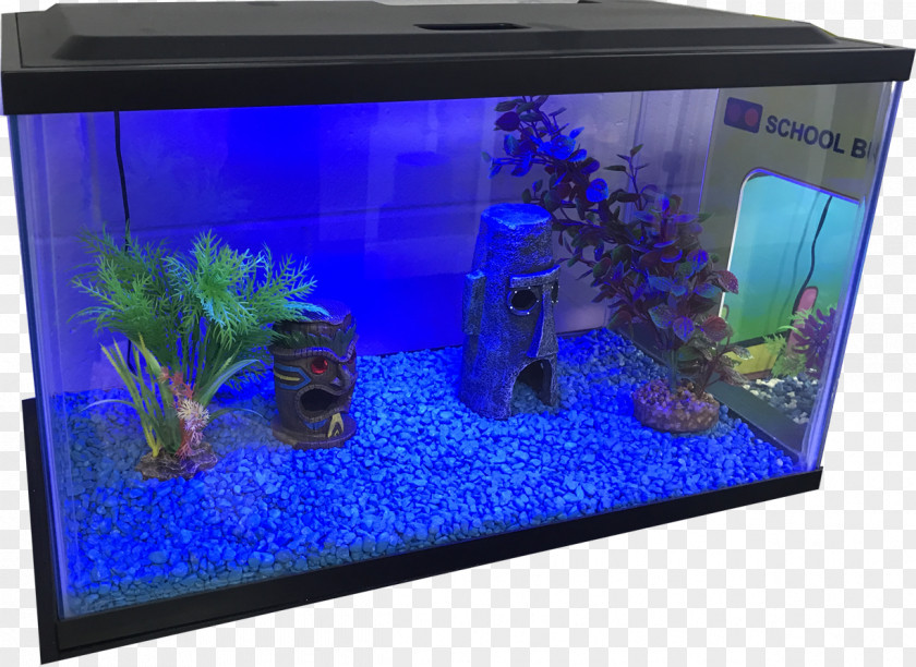 Fish Tank Aquarium Lighting Aquariums Gallon Electric Blue PNG