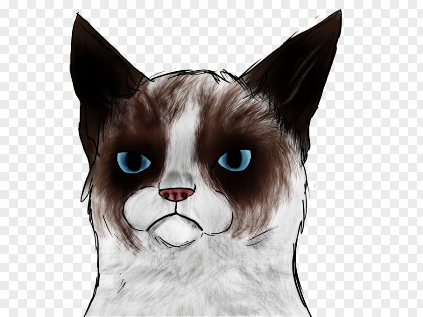 Kitten Grumpy Cat: A Book Snowshoe Cat Manx PNG