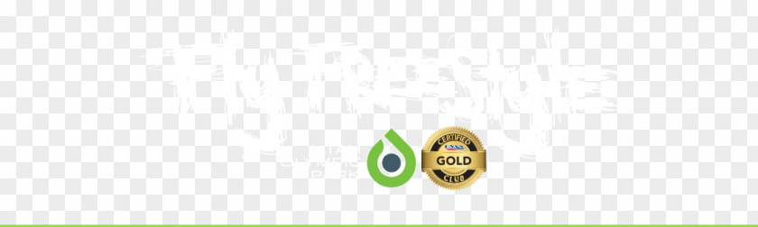 Banner FLYING Logo Brand Green PNG