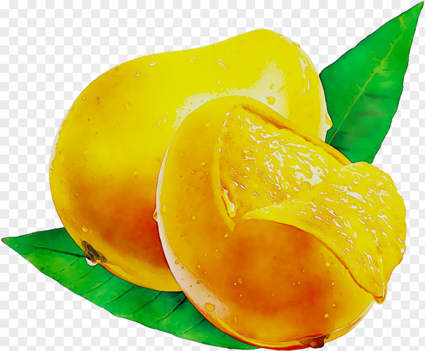 Carambola Clip Art Mango Image PNG