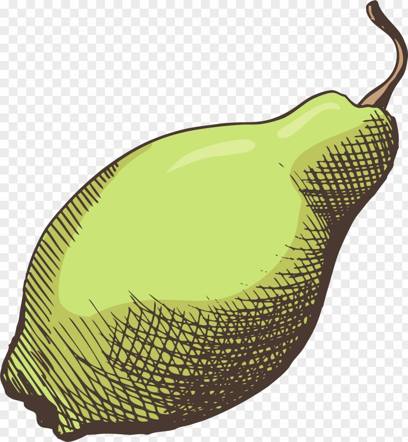 Hand Painted Yellow Pear Fruit Food PNG