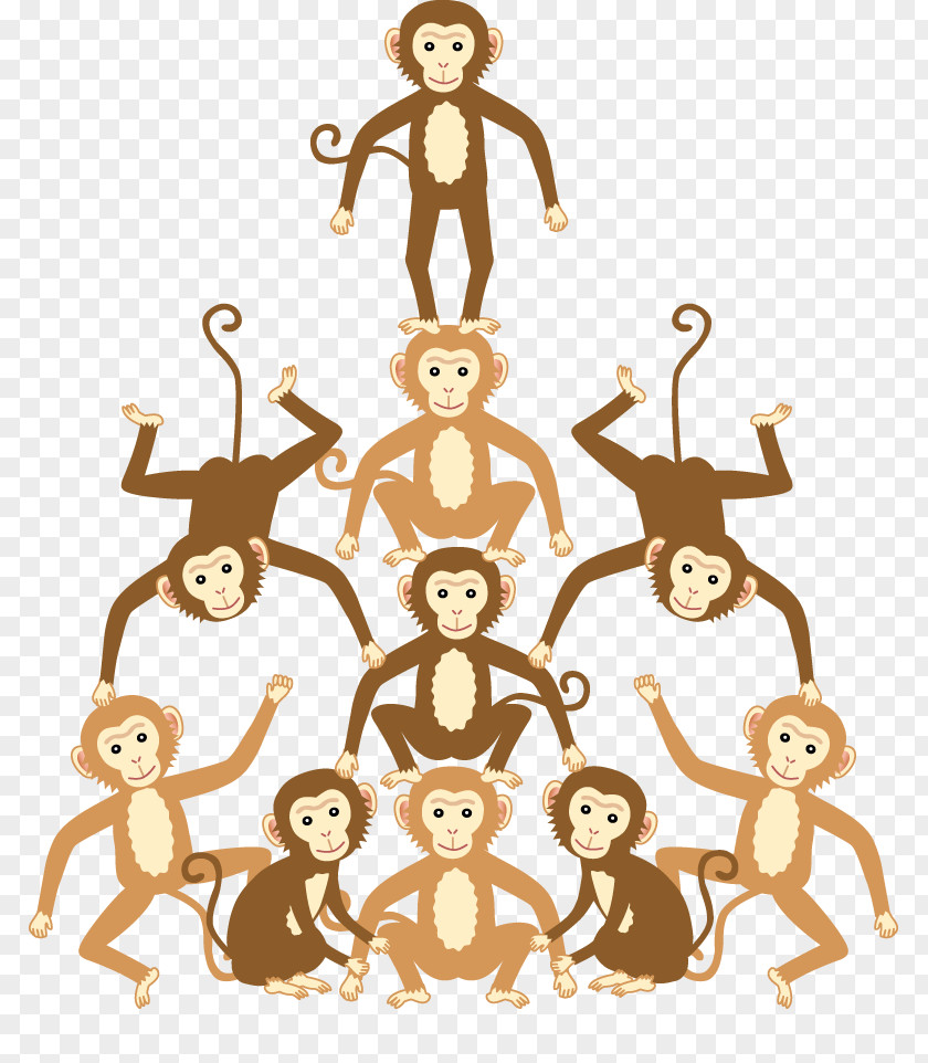 Monkey Homo Sapiens Human Behavior Clip Art PNG
