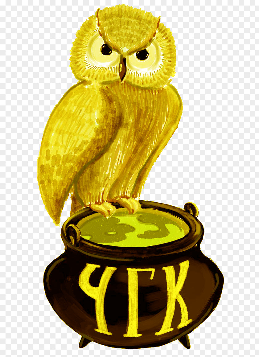 Owl Beak Bird Of Prey PNG