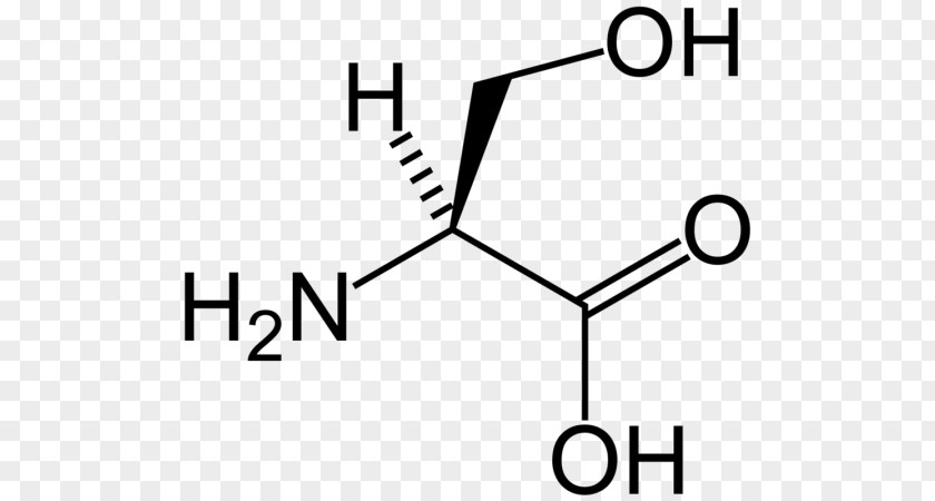 Serine Valine Proteinogenic Amino Acid Tyrosine PNG