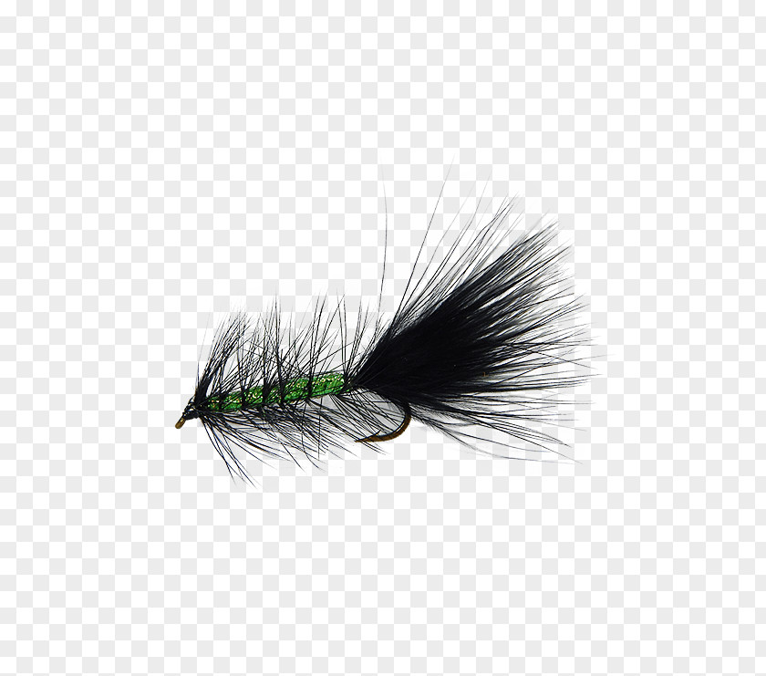 Steelhead Flies Bugger Rainbow Trout Great Lakes Insect Holly PNG