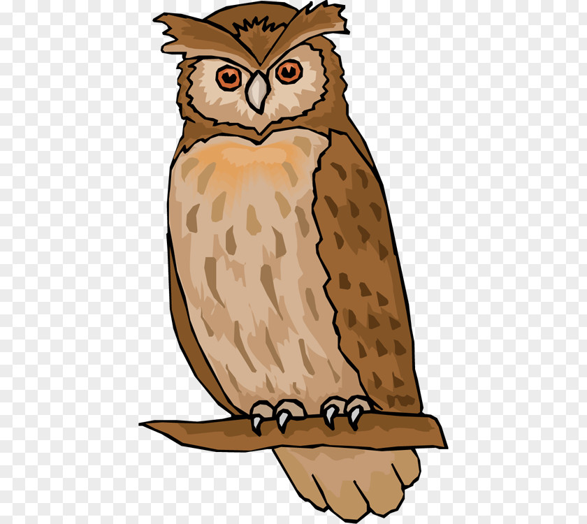 Hoot Cliparts Owl Free Content Clip Art PNG