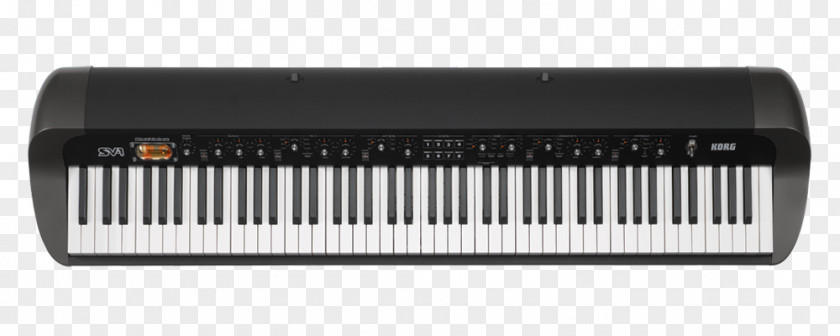 Keyboard Korg SV-1 88 73 Stage Piano Musical Instruments PNG
