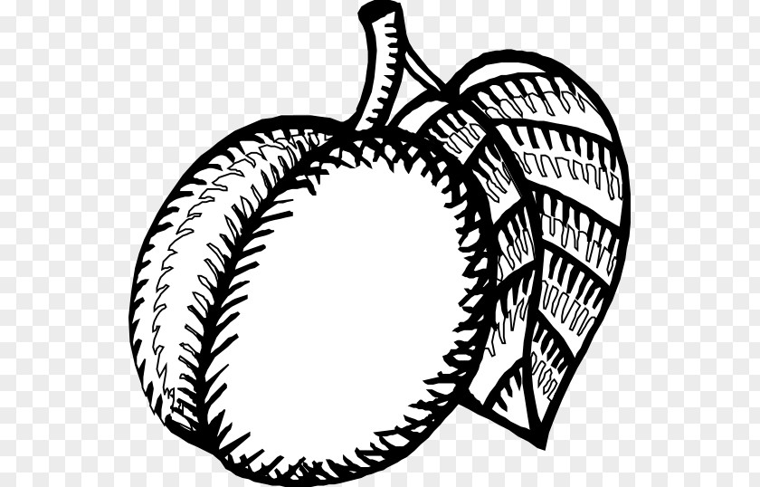 Nectarine Cliparts Black And White Drawing Coloring Book Clip Art PNG