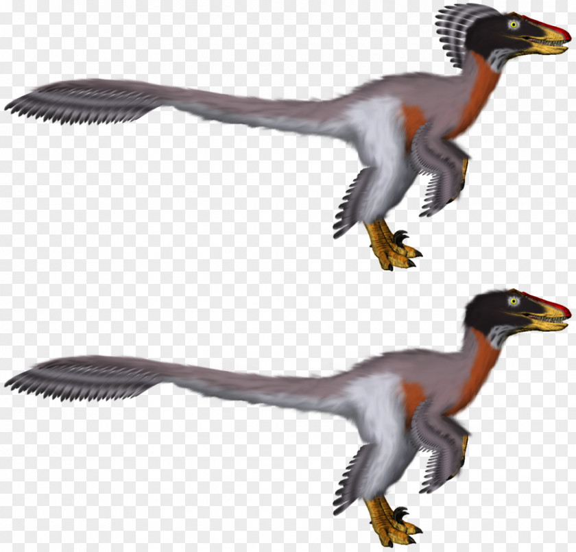 Dinosaur Raptor Red Velociraptor Tyrannosaurus Paleoart PNG