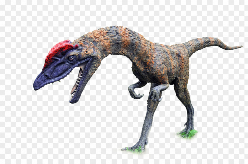 Dinosaur Tyrannosaurus Spinosaurus Velociraptor Dinosaurs Pack Suchomimus PNG