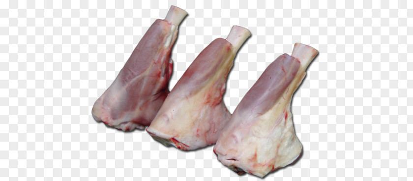 Lamb Shank Bacon Ham And Mutton Meat PNG