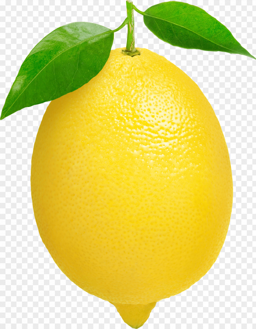 Lemon Image Clip Art PNG