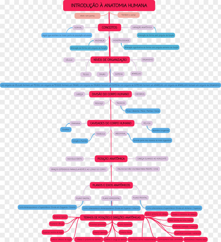 Mental Relaxation Human Anatomy Concept Map Mind PNG