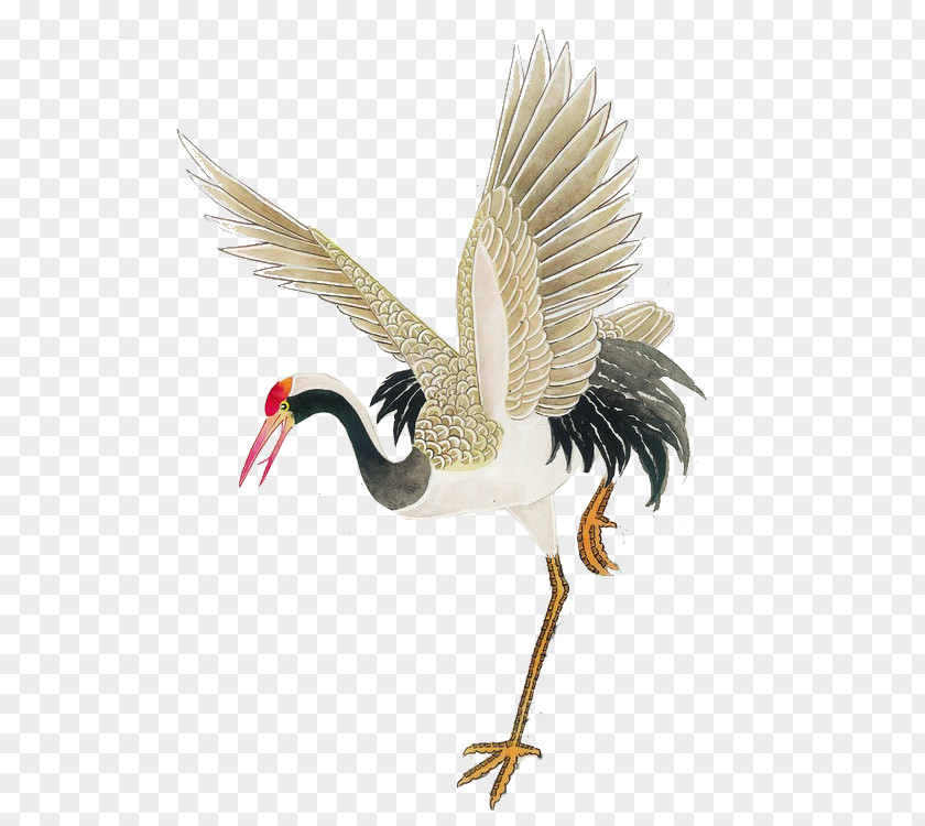 Painting Red-crowned Crane PNG