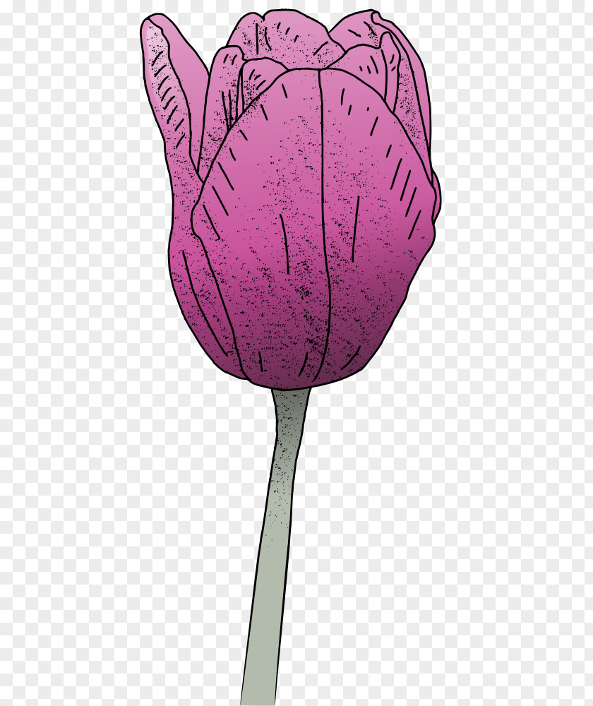 Pink Tulip Product M PNG