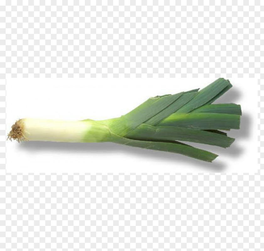 Vegetable Leek Onion Garlic PNG