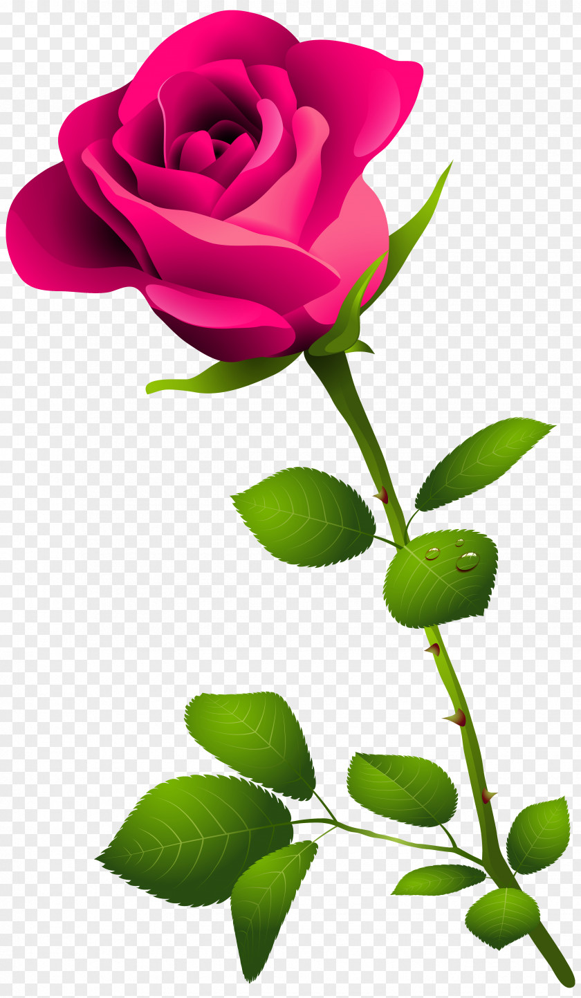 Pink Rose With Stem Clipart Image Flower Clip Art PNG