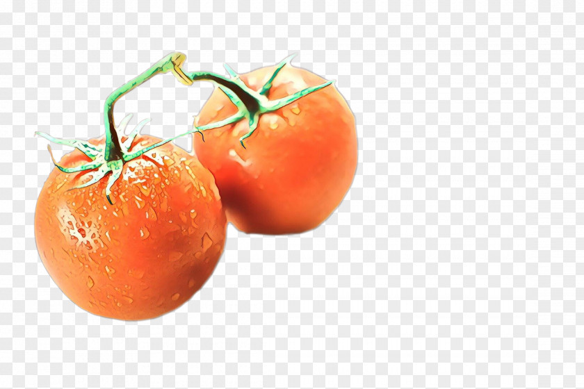 Plum Tomato Bush Food Mandarin Orange PNG