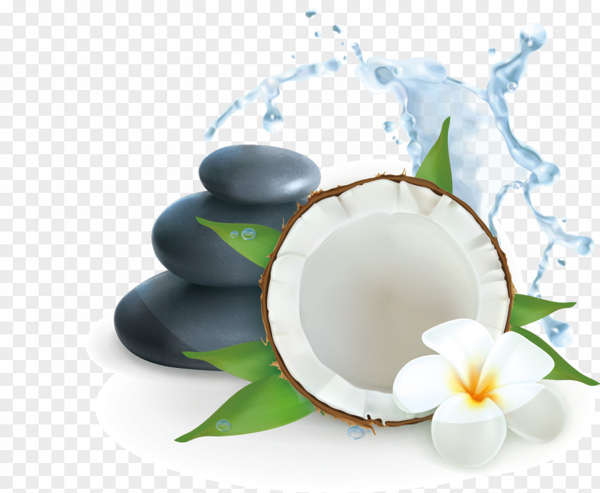 SPA Leisure Club Creative Coconut Water Illustration PNG