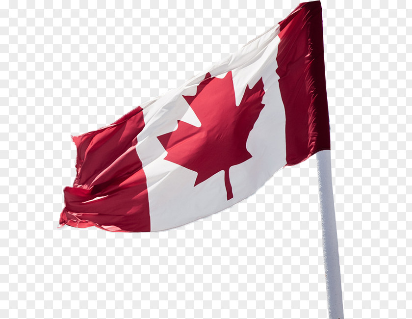 Study In Canada Flag Of Stock Photography PNG