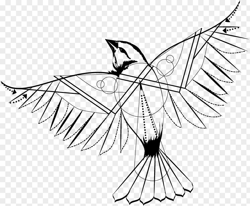 Bird Geometry Drawing Geometric Mean PNG