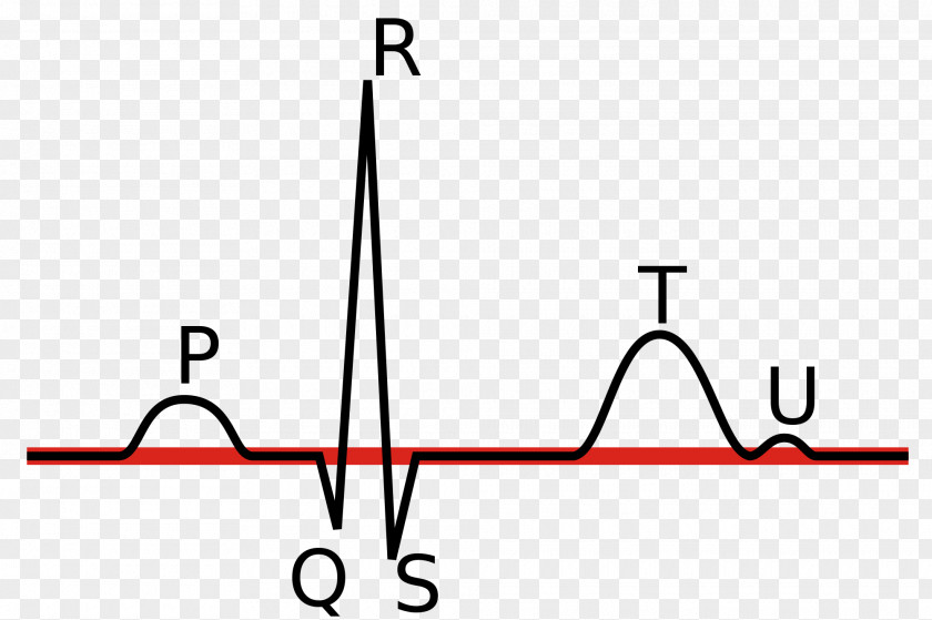 Ekgmonitoring Electrocardiography Linia Izoelektryczna P Wave QRS Complex Heart Rate PNG