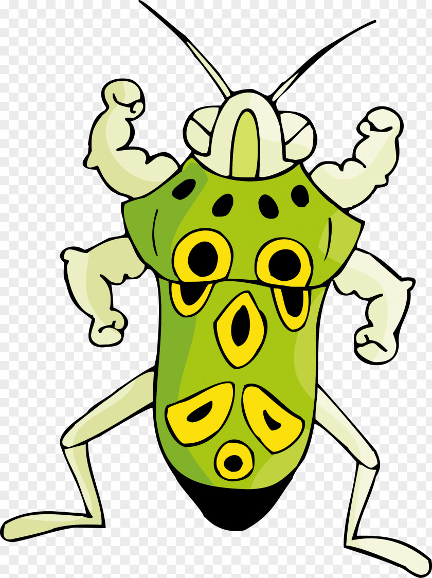 Insect Vectors Cartoon Illustration PNG