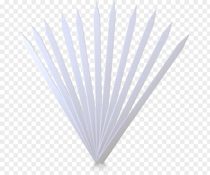 Line Angle PNG