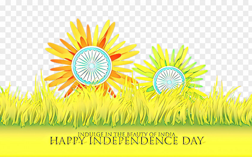 Meadow Flower India Independence Day Poster Background PNG