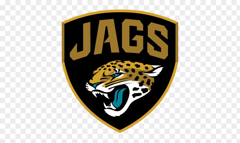 NFL 2013 Jacksonville Jaguars Season Regular 2018 PNG
