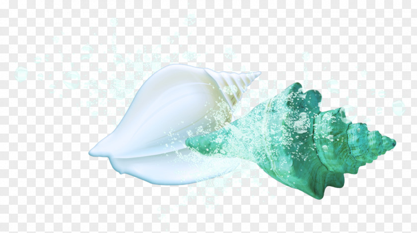 Sea Shells Plastic Turquoise PNG