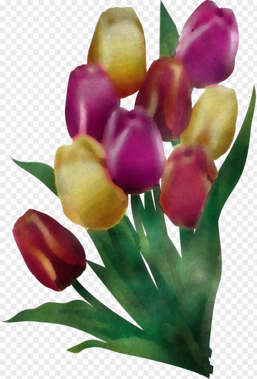 Artificial Flower PNG