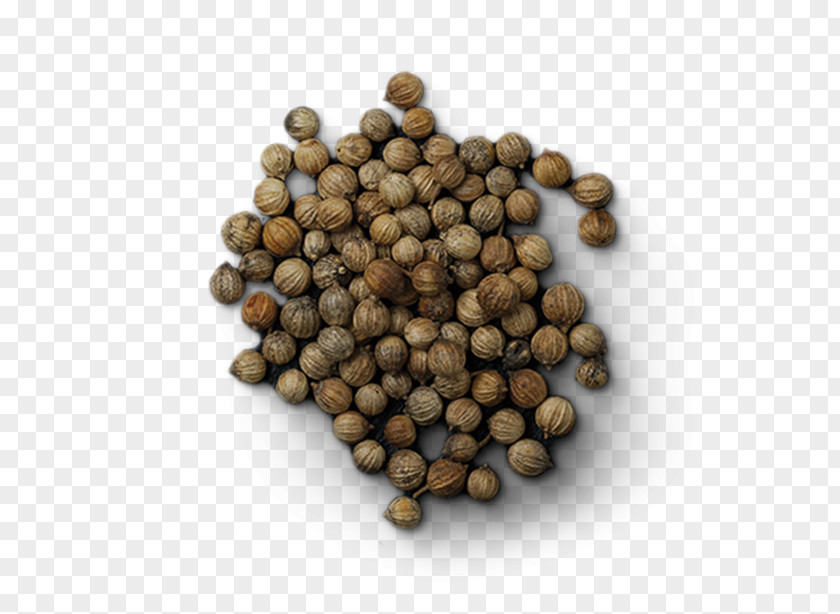 Coriander Seeds Clip Art Nut Cubeb Seasoning Food PNG