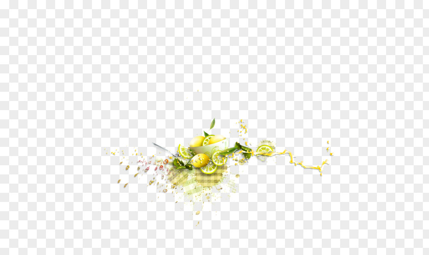 Creative Lemon Juice PNG