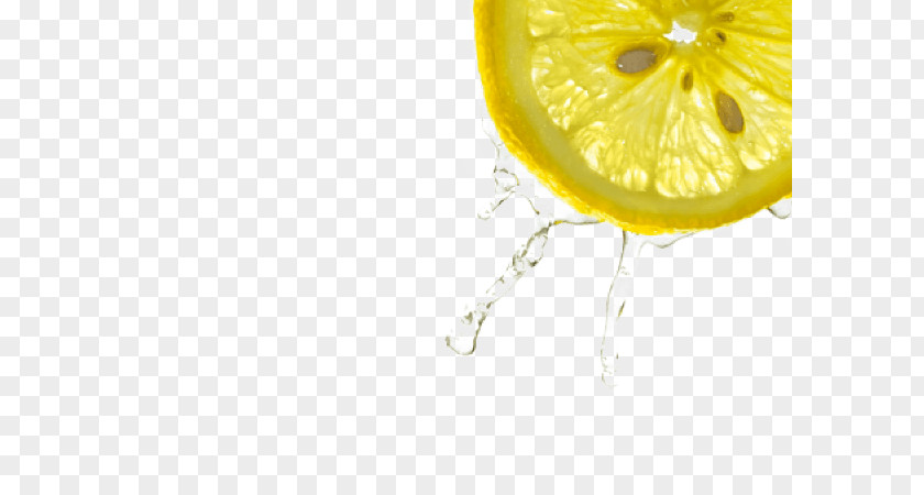 Lemon Hair Fuller's Earth Fashion Cleaning PNG