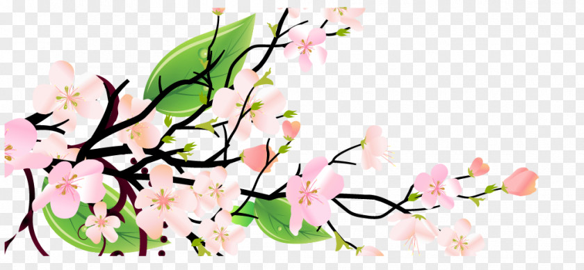 Vector Chinese Wind Plum Floral Design Blossom PNG