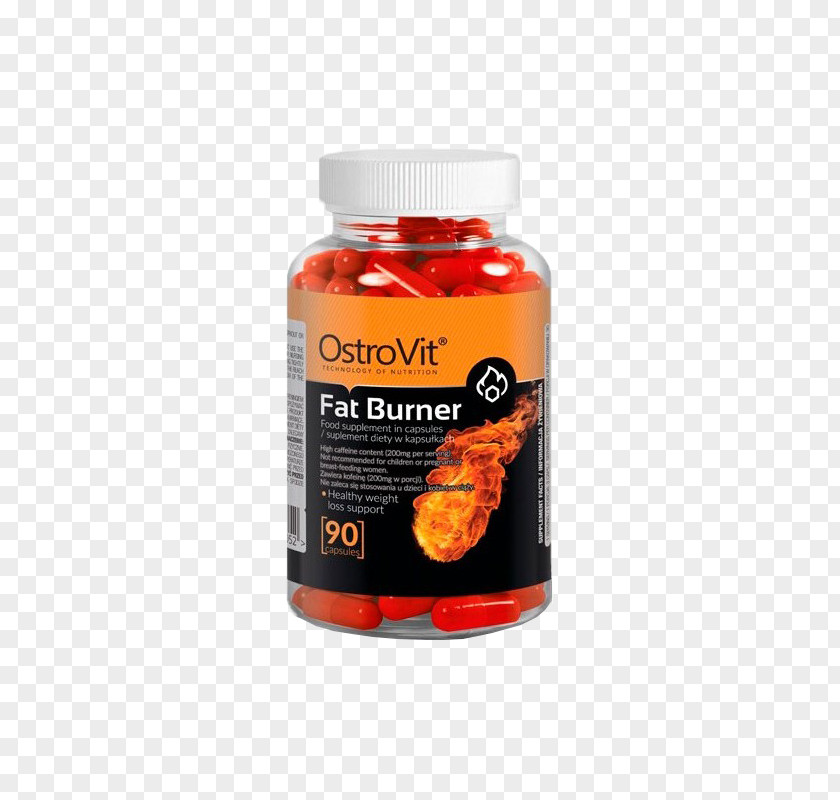 Fat Burner Dietary Supplement Emulsification Bodybuilding Levocarnitine PNG