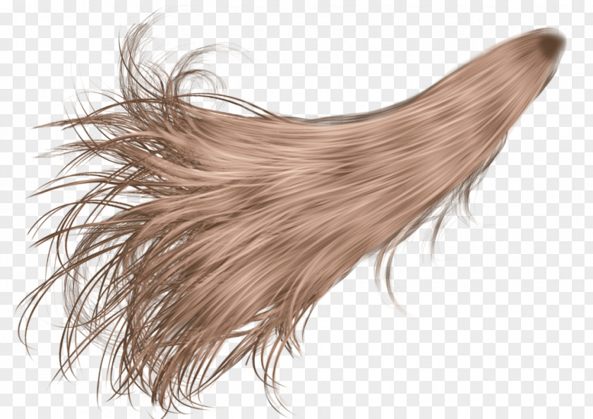 Hair Ponytail Wig Desktop Wallpaper PNG