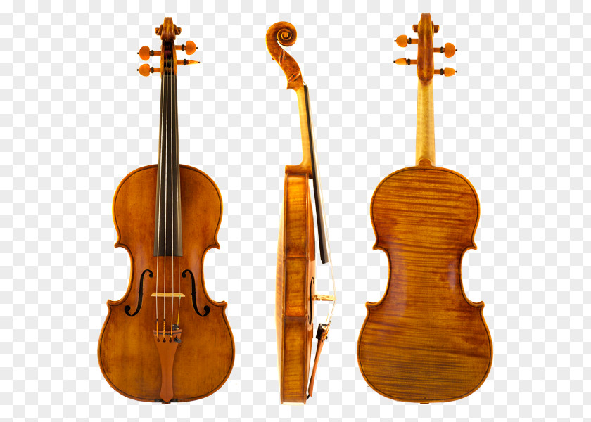 Violin Stradivarius Musical Instruments String PNG