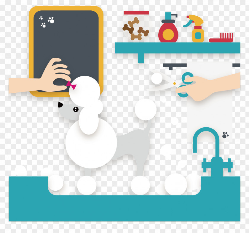 White Dog Vector Maltipoo Goldendoodle Grooming Pet PNG