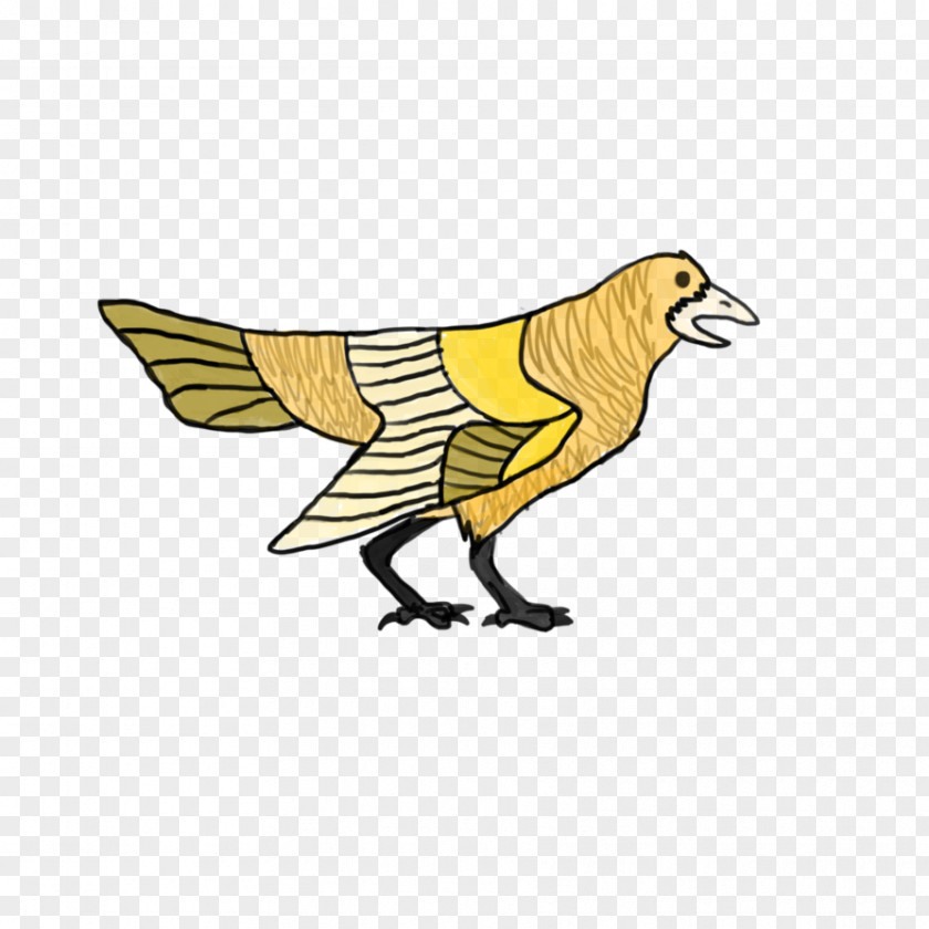Birdie Bird Chicken Galliformes Beak PNG
