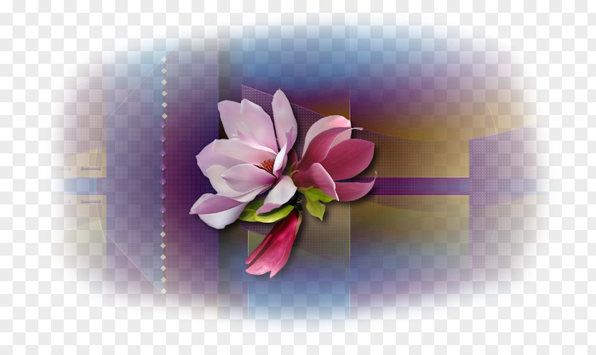 Computer Desktop Wallpaper Flowering Plant PNG