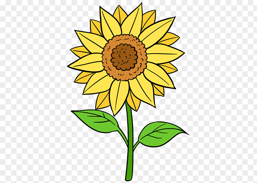 Sunflower Leaf Drawing Common Painting Art Sketch PNG