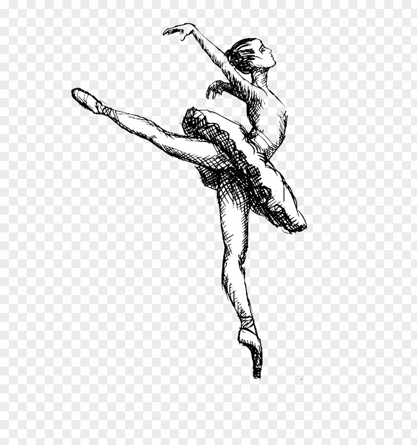 Ballet Dancer Drawing PNG