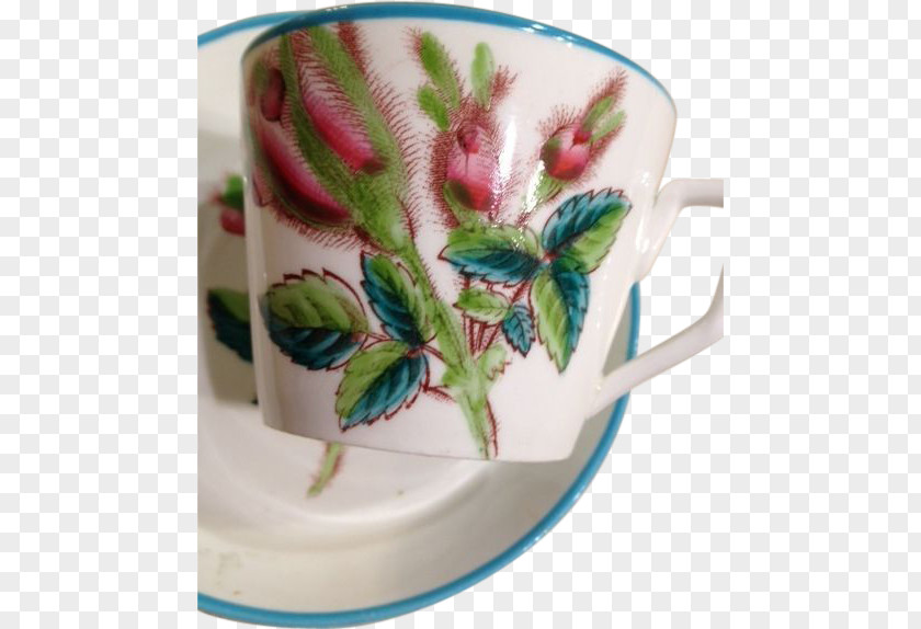 Cup Porcelain Saucer Flowerpot Tableware PNG