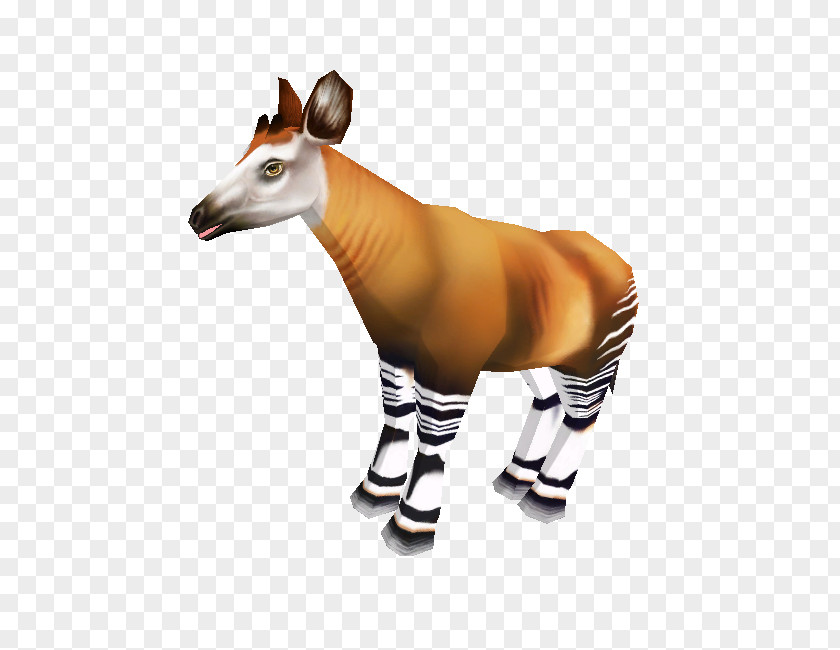 Giraffe Okapi Snout Terrestrial Animal Wildlife PNG