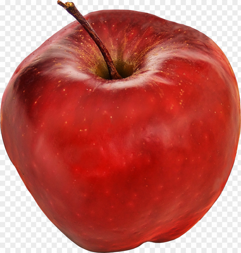 Apple Fruit Apples Food PNG